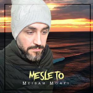 Mesle To