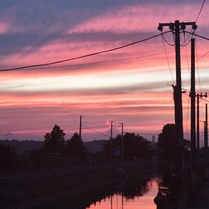 特别的人（cover方大同女生版）