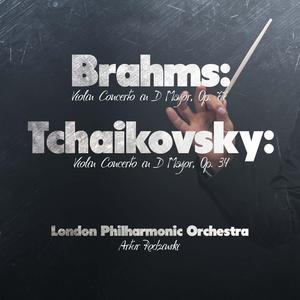 Violin Concerto in D Major, Op. 77: II. Adagio