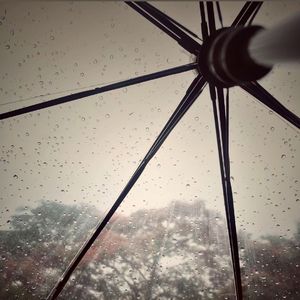 微信的灰色日期 是我们见面的日子