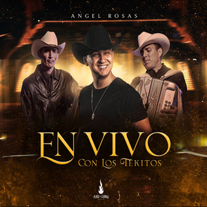 Sin Evidencia (En Vivo)