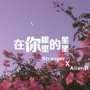 在你眼里的星星