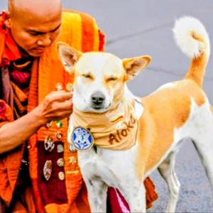 Aloka souffle de paix