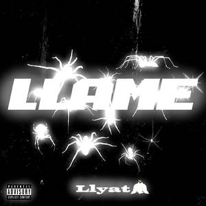 LLAME