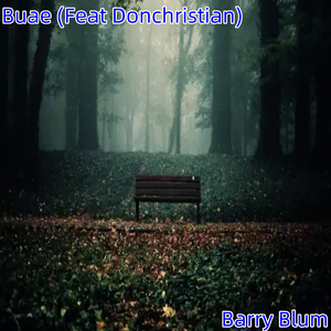 Buae (Feat Donchristian)