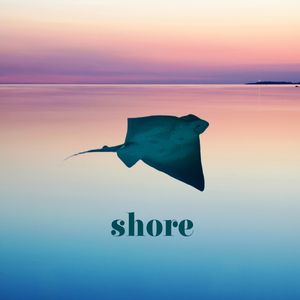 Shore