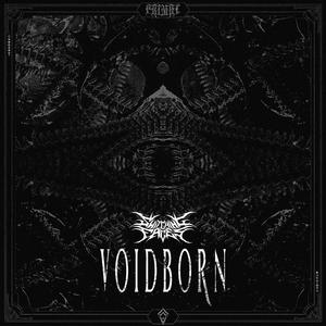 VOIDBORN