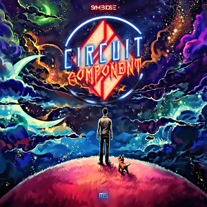 Circuit Component (Original mix)
