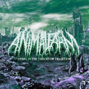 The Bohemian's Garden