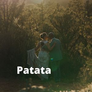 Patata