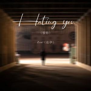 Hating you（恨你）