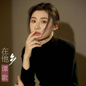 在他乡 (DJ版)