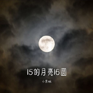 15的月亮16圆