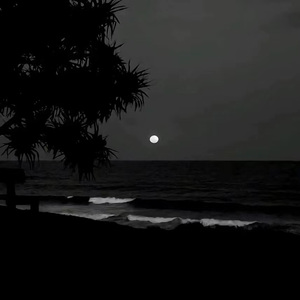 Sømmer（interlude）