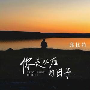 你走以后的日子