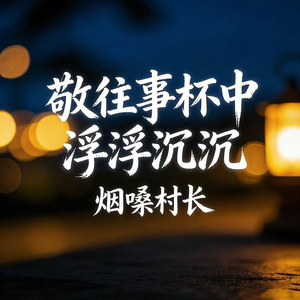 敬往事杯中浮浮沉沉