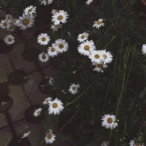 再见丘比特（Prod by PUNISHME）