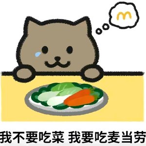 胖猫晚安曲