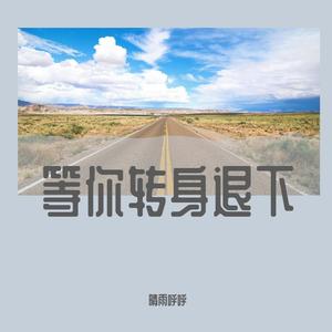 等你转身退下