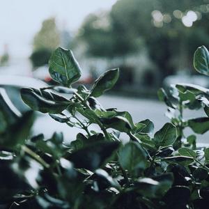 思绪也是没有意义的只言片语