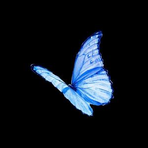 Qelbimin Aynası Speed Up