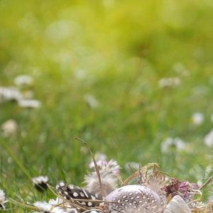 我只是你的一段路