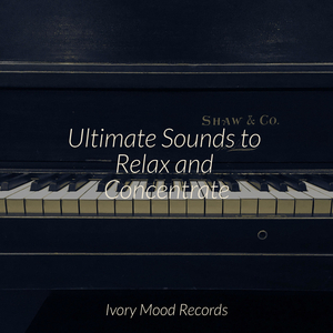 Echoes of Broken Mirrors