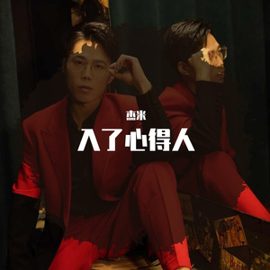 杰米-入了心的人