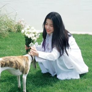 去有风的地方 (live）