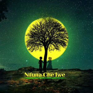 Nifuna Che Iwe (Radio Edit)