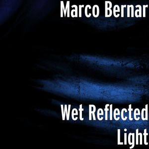 Wet Reflected Light
