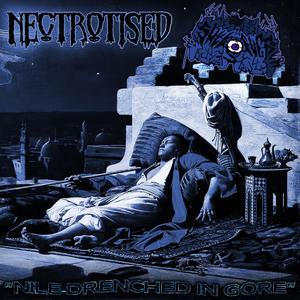 Nile-Drenched In Gore (feat. Sheep****er)