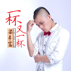 一杯又一杯 (DJ版)