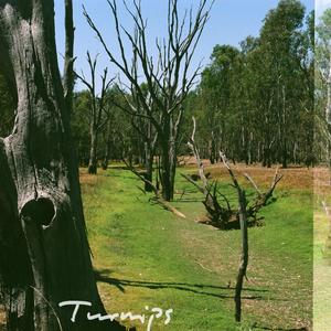 Turnips (feat. Lisa H)