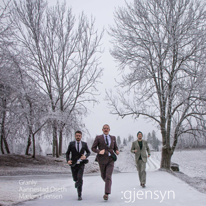 Som En Der Kommer Fra Fest