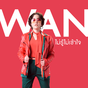 ไม่รู้ไม่เข้าใจ