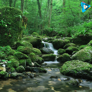 Stress Relief Music, Sleep Music, Meditation Music, Study, Calming Music