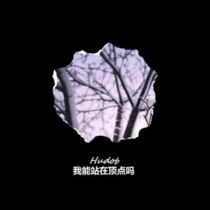 我能站在顶点吗(Demo)