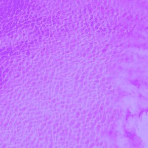 Push (feat. Excuseme47)