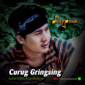 Curug Gringsing (feat. @dpstudioprod, Musisi Purbalingga, Jawa Ngapak, Penginyongan, Lagu Jawa, Campursari Koplo, Dangdut Ngapak, Ngapak Purbalingga, DEDY PITAK STUDIO & REC ©dpstudioprod)