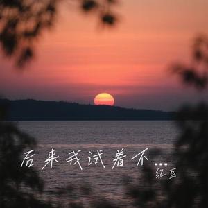 后来我试着不爱你 (Cover 洋澜一)