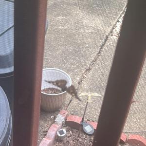 1 outta 10 (feat. frazier)