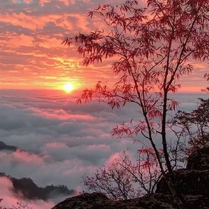 月光下的黑暗（助眠音乐）（小提琴）