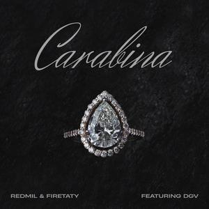 Carabina (feat. Firetaty & DGV)