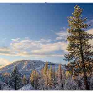 椿萱并茂 (吉他曲)