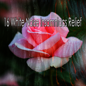 用声音唤醒您的感官