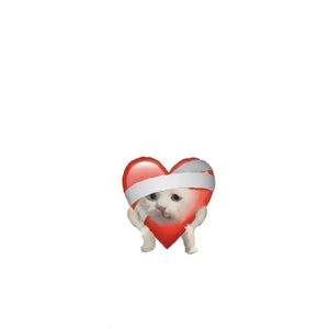 In my heart（by Rick1y）