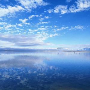 归，不归（翻自 方拾贰（方十二））