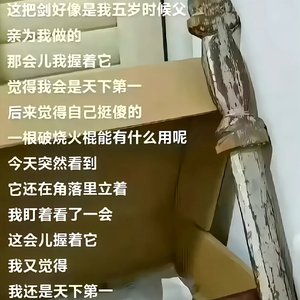 木剑杀掉的少年意气v1.1