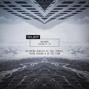 Polarity (Be.The.Flow Remix)